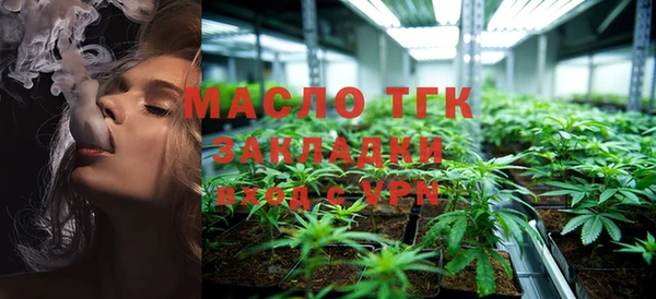 прущие крисы Горняк
